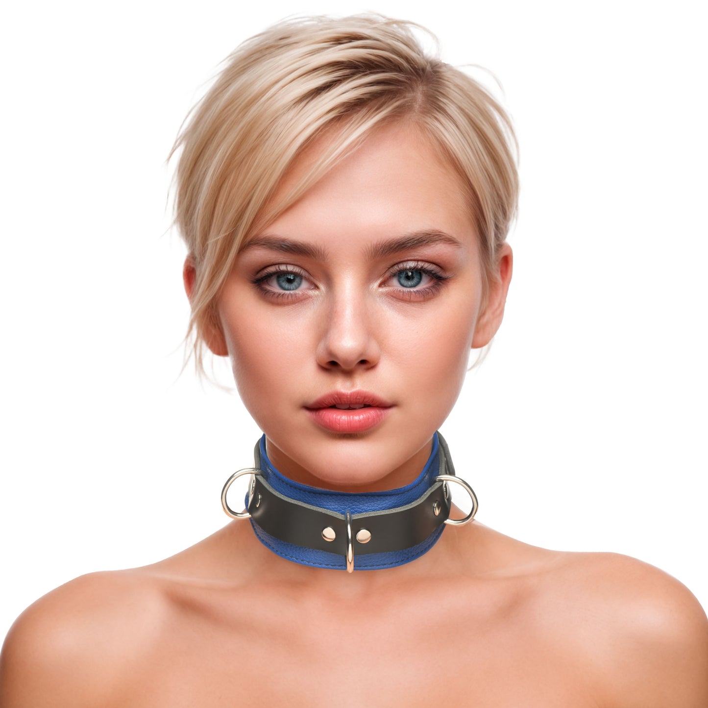 Strict Leather Deluxe Locking Collar - and Black by Strict Leather