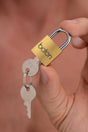 Brass Lock - image 1