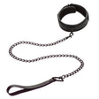CalExotics Nocturnal Collar and Leash — Black, Fits up to 17 in - SE2678103