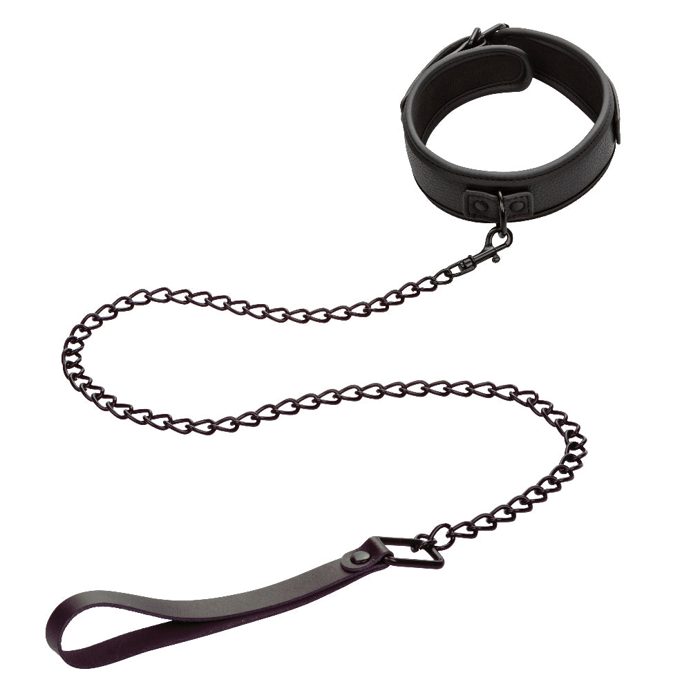 CalExotics Nocturnal Collar and Leash — Black, Fits up to 17 in - SE2678103