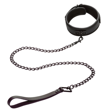 CalExotics Nocturnal Collar and Leash — Black, Fits up to 17 in - SE2678103