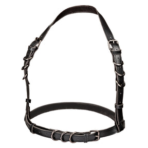 CalExotics Euphoria Plus Size Halter Buckle Harness - Black - SE3101063