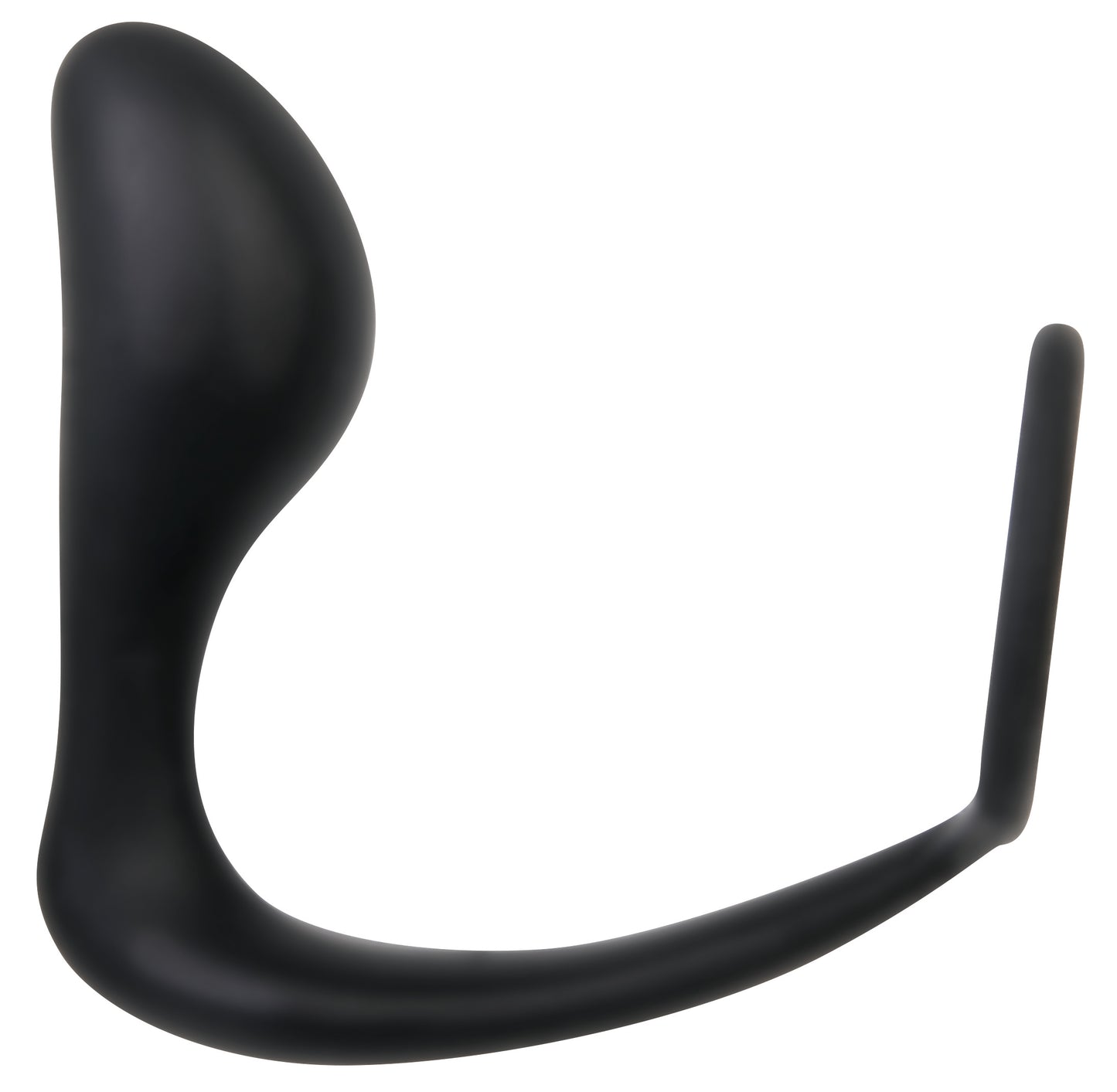 Intro to Prostate Kit by Evolved Novelties