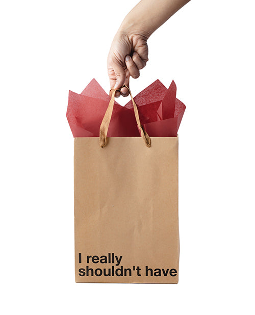 I Really Shouldn't Have Gift Bag - Pack of 3 by Wood Rocket