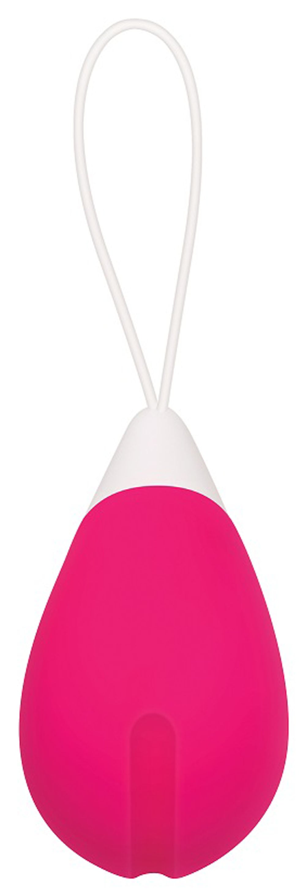 Remote Control Egg - Pink by Evolved Novelties