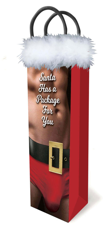 Little Genie Santa Has a Big Package For You Gift Bag — 14 x 4.5 in - LG-LGP025