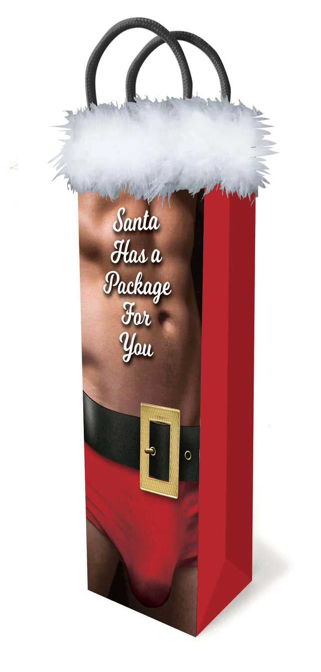 Little Genie Santa Has a Big Package For You Gift Bag — 14 x 4.5 in - LG-LGP025
