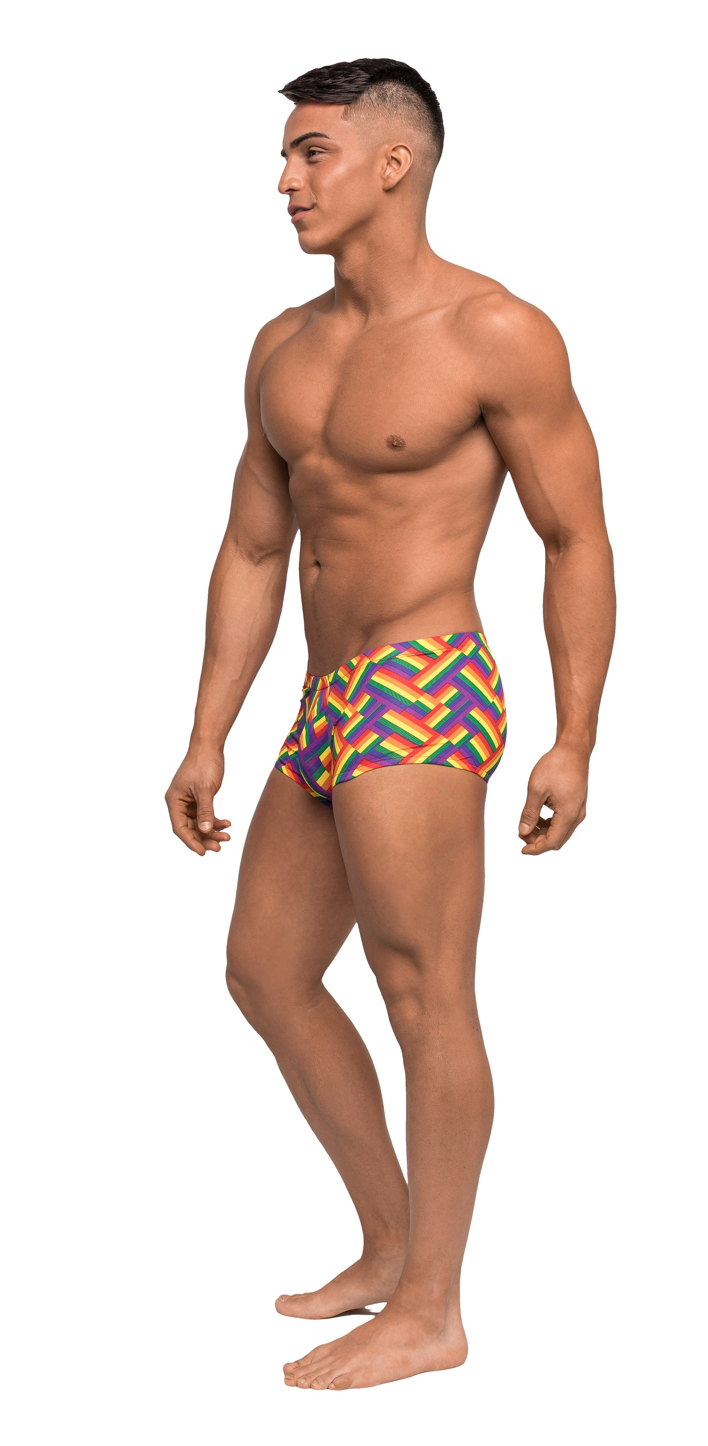 Pride Fest - Mini Short - Large - Print by Male Power
