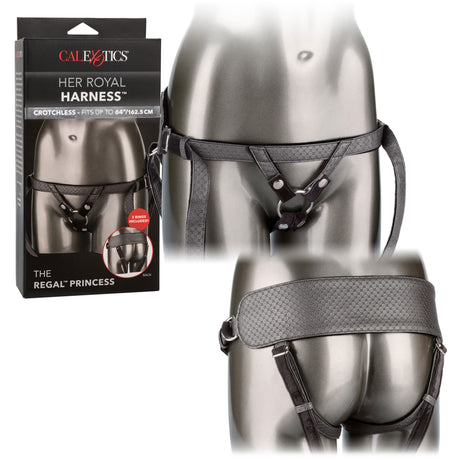 Her Royal Harness the Regal Princess - Pewter