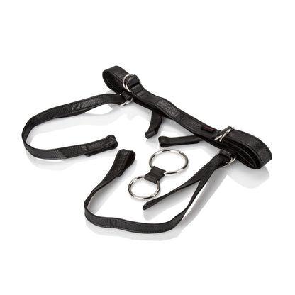 Her Royal Harness the Duchess - Boxed by CalExotics