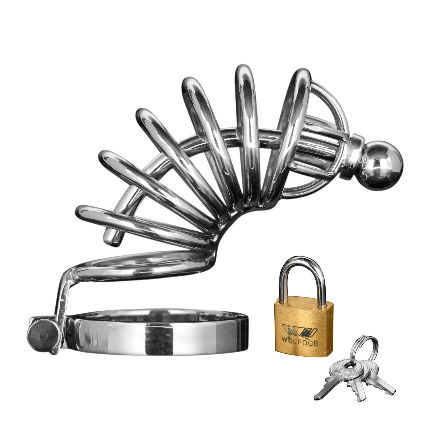 Asylum 6 Ring Locking Chastity Cage by Master Series