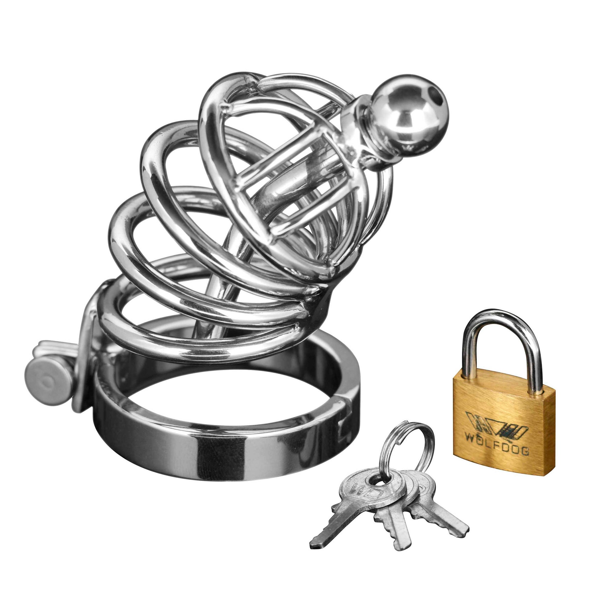 Asylum 6 Ring Locking Chastity Cage by Master Series