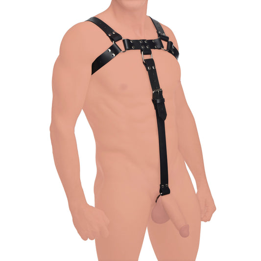 English Bull Dog Harness with Cock Strap by Strict Leather