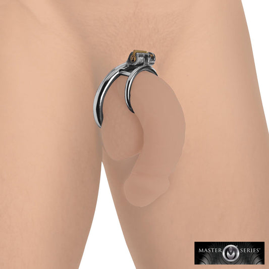 Locking Cock and Ball Ring by Master Series