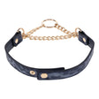 Sportsheets Cougar Day Animal-Print Collar — Gold Ring, Fits 15–17 in - SS09974