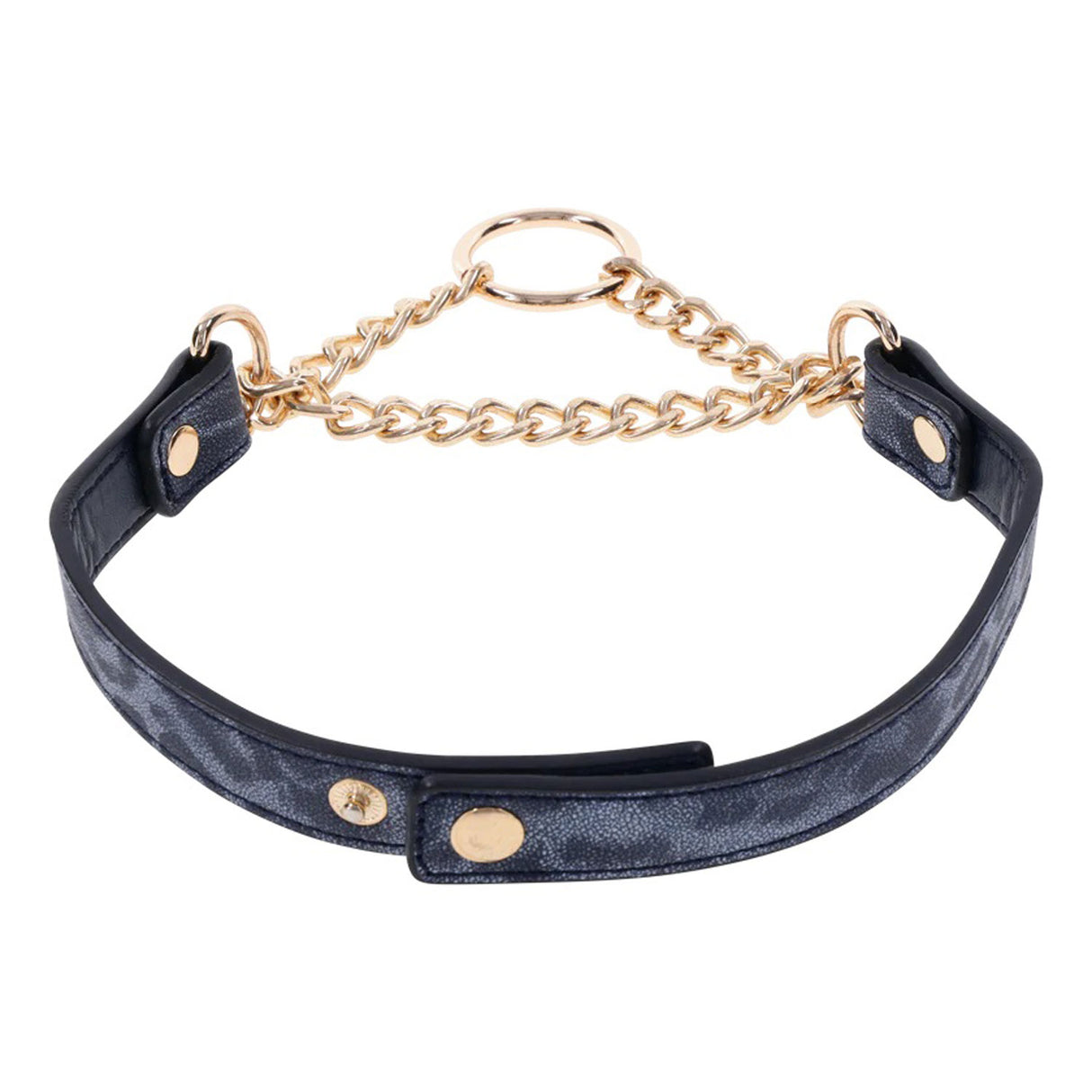 Sportsheets Cougar Day Animal-Print Collar — Gold Ring, Fits 15–17 in - SS09974