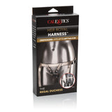 Her Royal Harness the Regal Duchess - Red by CalExotics