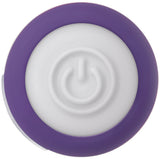 Evolved Novelties Purple Passion Petite Bullet Vibrator, 2.8 in - EN-RS-1004-2