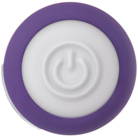 Evolved Novelties Purple Passion Petite Bullet Vibrator, 2.8 in - EN-RS-1004-2