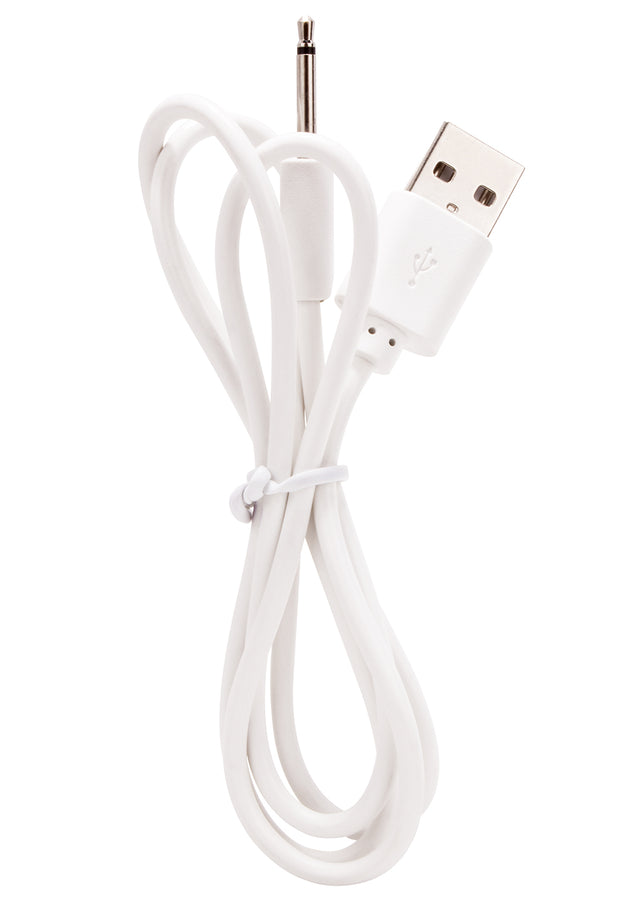Screaming O ReCharge Replacement Charge Cable - ACC-101E