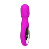 Pretty Love Dempsey 30-Function Mini Wand Vibrator, Purple - BI-014312