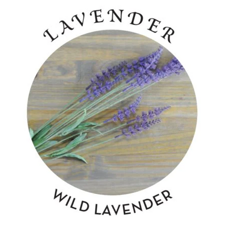 Earthly Body Lavender Hemp Seed Massage Oil — 2 fl oz - EB-MAS217E