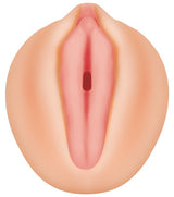 Evolved Novelties Alexis Texas Realistic Vagina Stroker with Movie Download - ZE-MS-1219-2