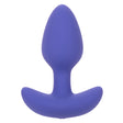 CalExotics Connect Tapered Anal Probe — Purple, 3.25 in - SE0001403