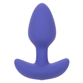CalExotics Connect Tapered Anal Probe — Purple, 3.25 in - SE0001403