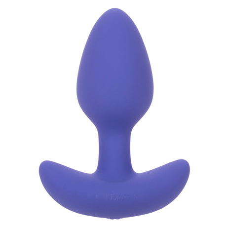 CalExotics Connect Tapered Anal Probe — Purple, 3.25 in - SE0001403