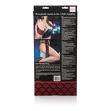 CalExotics Scandal Over-The-Door Swing with Padded Seat - SE2712363