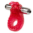 "Couple's Raging Bull SE7552043"