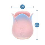 Blush Collection - Kissing Rose - Pink