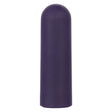 CalExotics Turbo Buzz Mini Bullet — Purple, 2.5 in - SE0061422