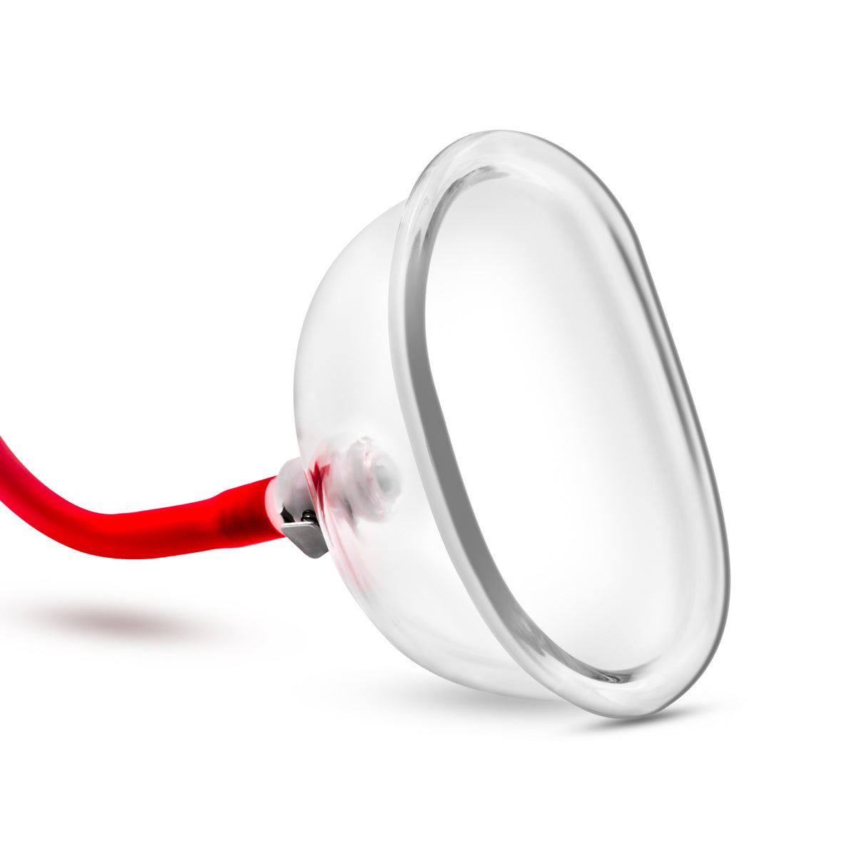 Blush Temptasia Vulva Cup — Clear Acrylic Cylinder - BL-09901