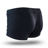 Blush Temptasia Harness Briefs with O-Ring & Inner Pockets — 3XL Black - BL-87635