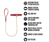 Blush Temptasia Ardor Collar & Leash — Red Puria Silicone, 18.11 in - BL-55548