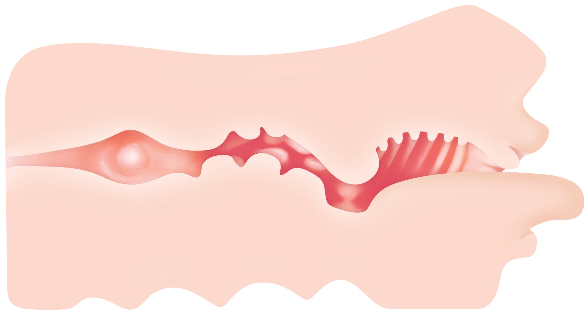 Real Mouth Stroker by Evolved Novelties