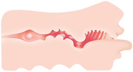 Evolved Novelties Real Mouth Stroker — 6.5 in Open-Ended TPE Stroker - ZE-MS-0410-2