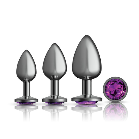 Viben Cheeky Charms Anal Trainer Kit — Gunmetal with Purple Gem (3‑Pack) - VB-CC9151