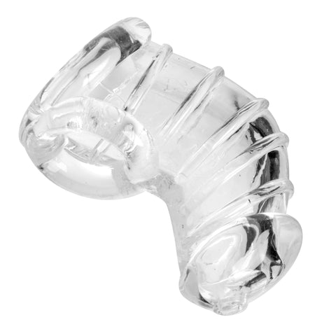 XR Brands Detained Soft Body Rubber Chastity Cage — 4 in, 1.25 in ID - MS-AE408