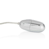 Sterling Collection Silver Bullet With 2-Speed Controller Plus Sleeve by CalExotics