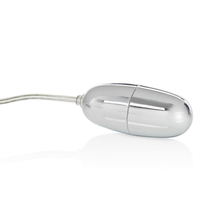 Sterling Collection Silver Bullet With 2-Speed Controller Plus Sleeve by CalExotics