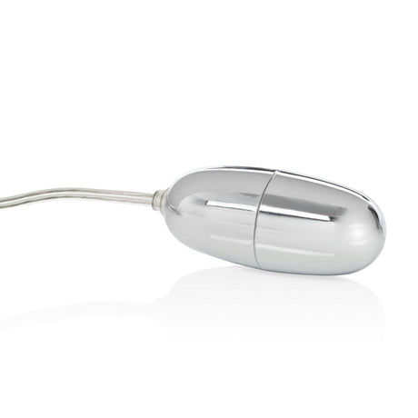 Sterling Collection Silver Bullet With 2-Speed Controller Plus Sleeve by CalExotics